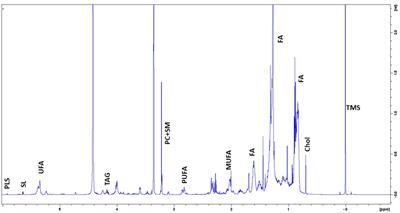 Lipid rafts mediate multilineage differentiation of human dental pulp-derived stem cells (DPSCs)